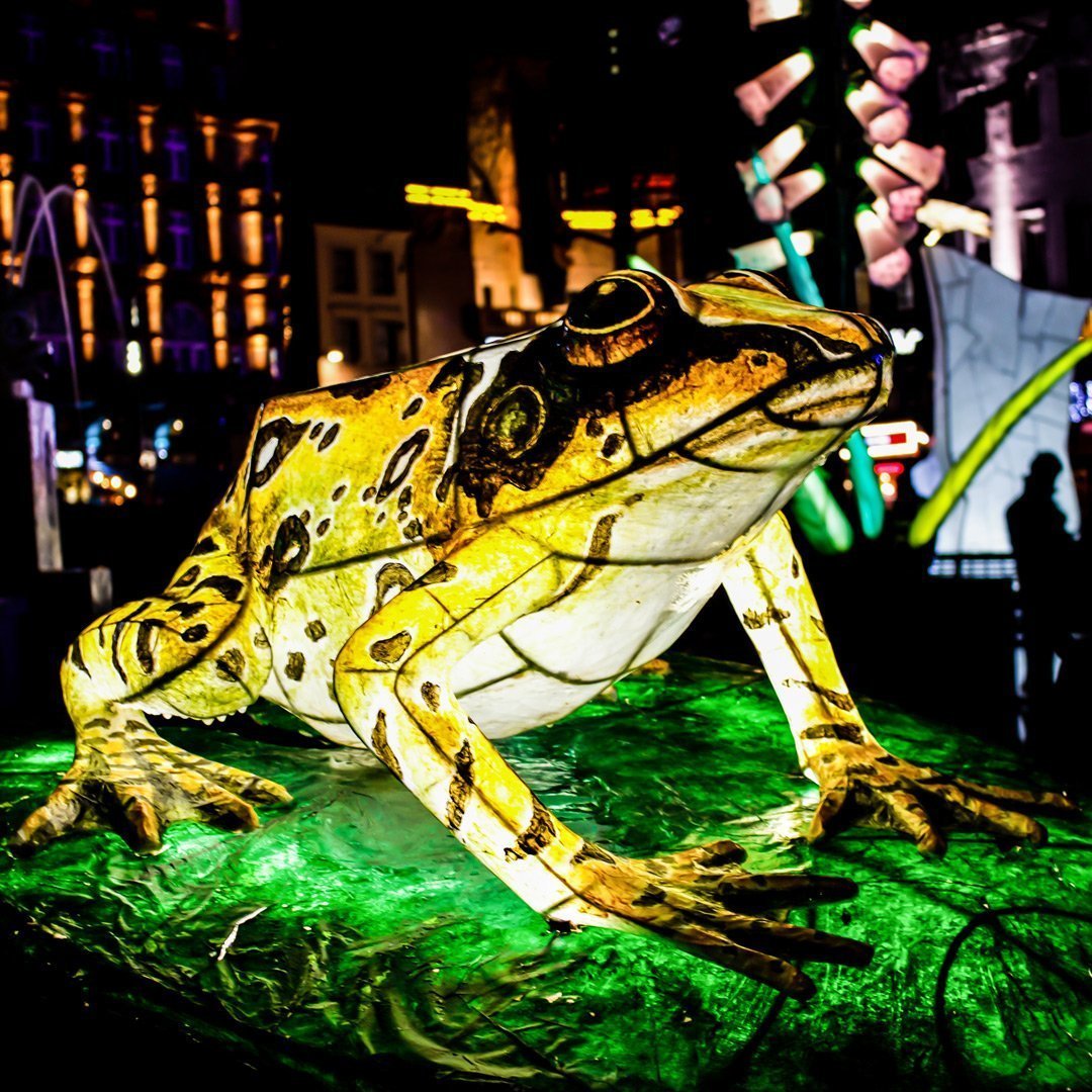 Lumiere London 2018 Lantern Company Frog