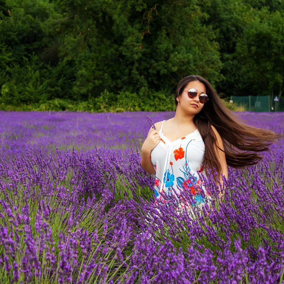 Mayfield Lavender Fields