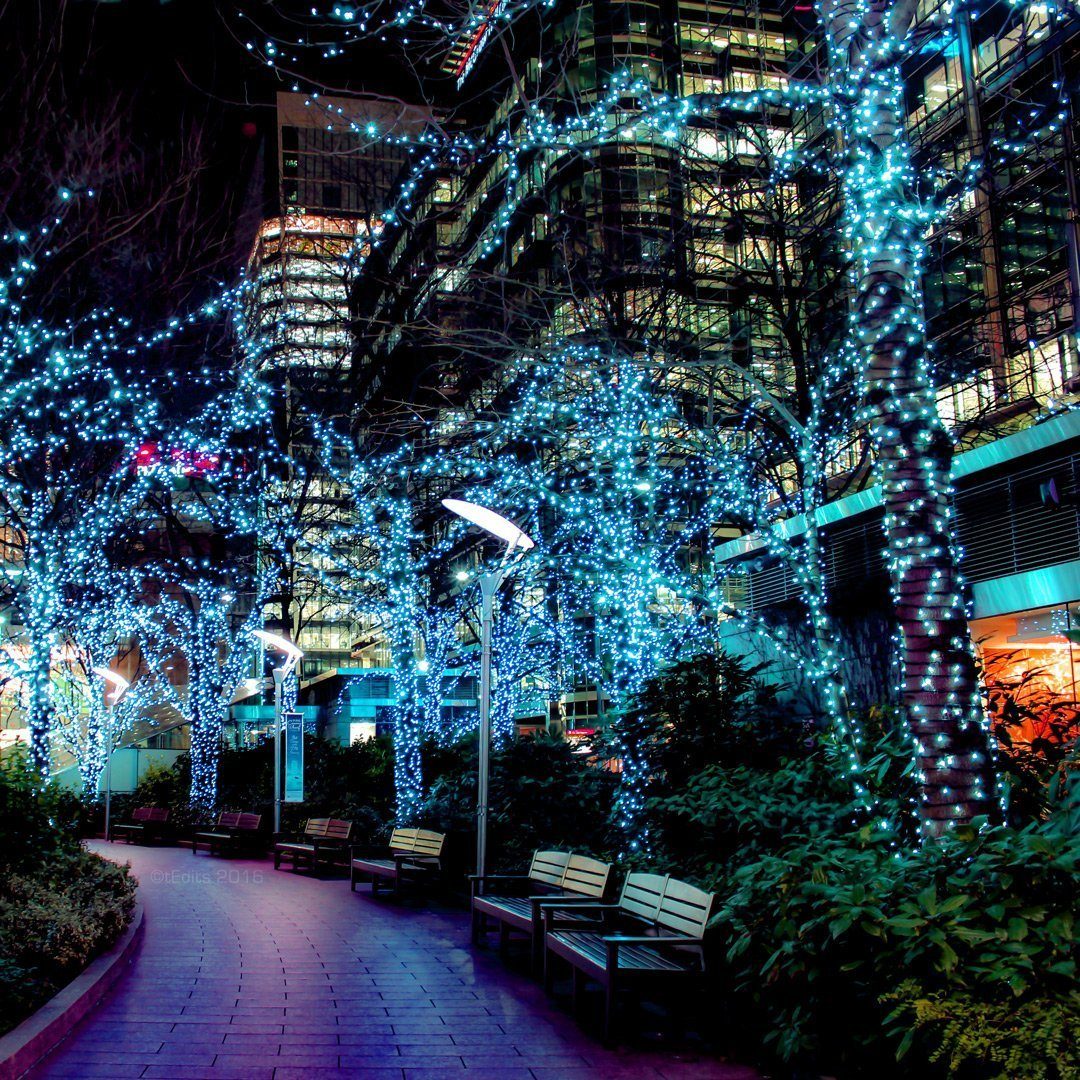 Canary Wharf, Jubilee Park