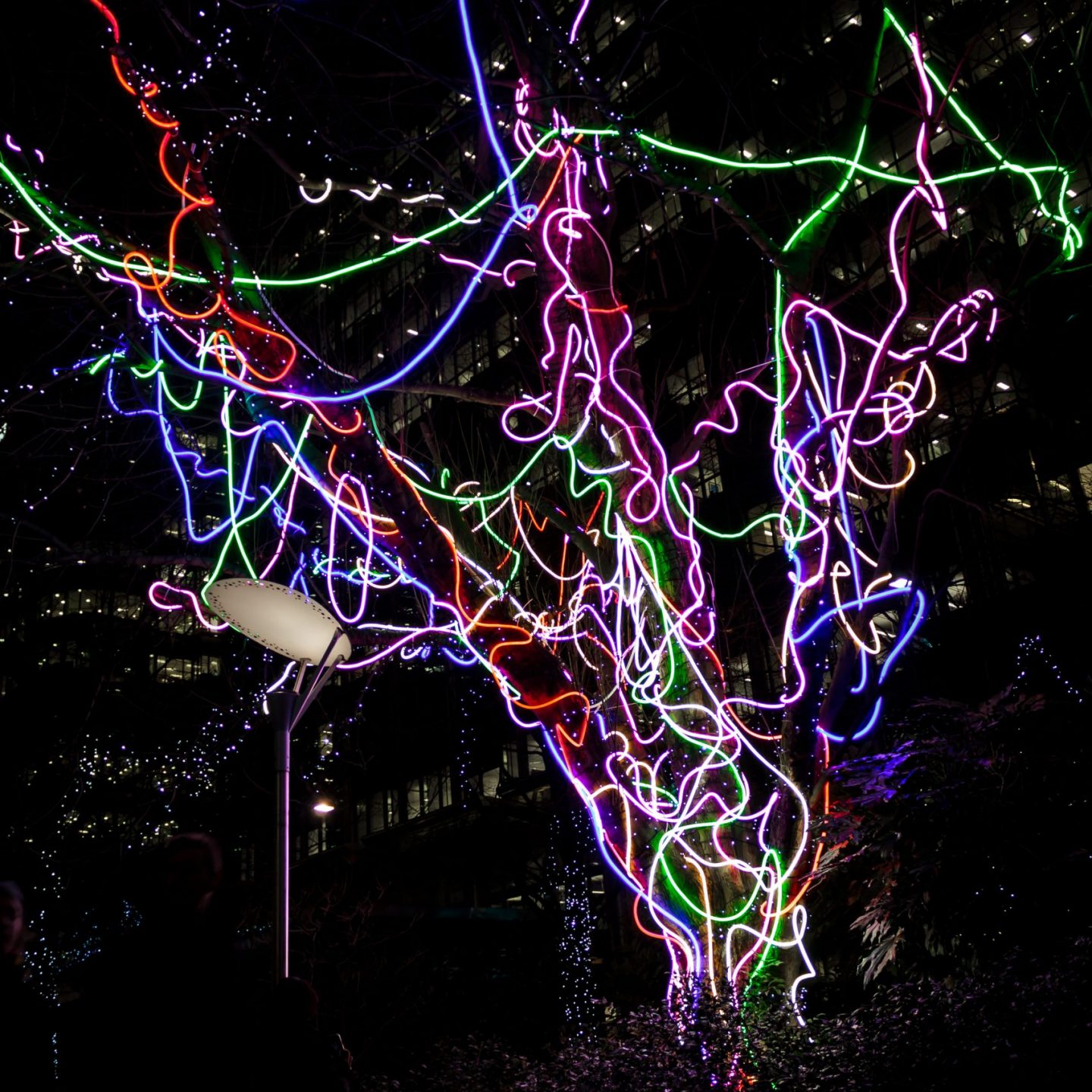 Canary Wharf Winter Lights 2020 - Neon Tree by Hawthorn