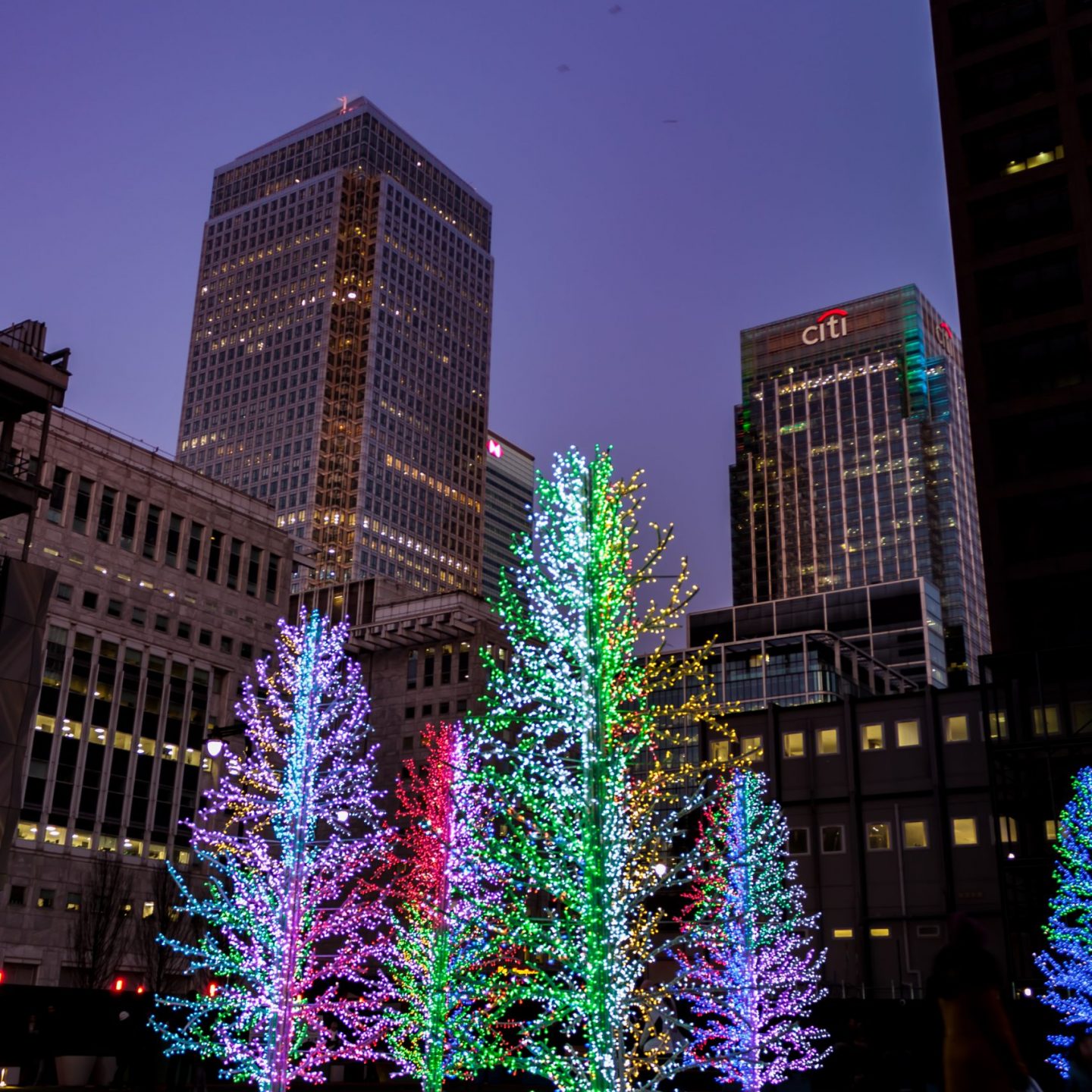Canary Wharf Winter Lights 2020 - Sasha Trees by Adam Decolight