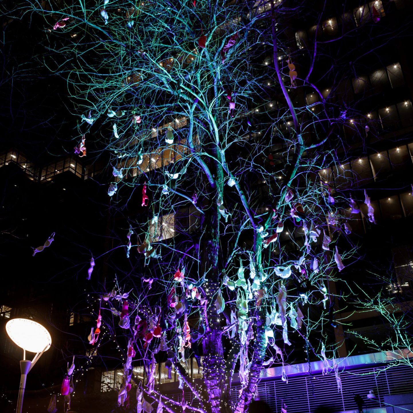 Canary Wharf Winter Lights 2020 - The Bra Tree for Breast Cancer Now